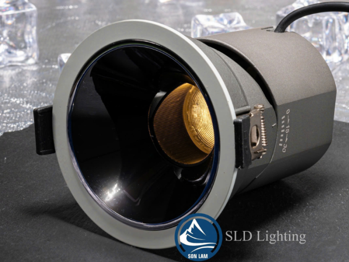 den-spotlight-am-tran-dsp02