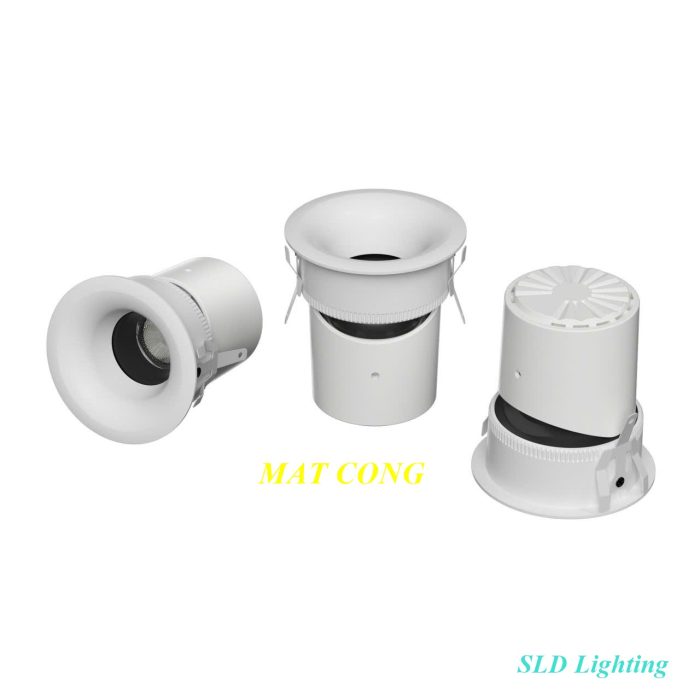den-spotlight-chong-choi-dsp16